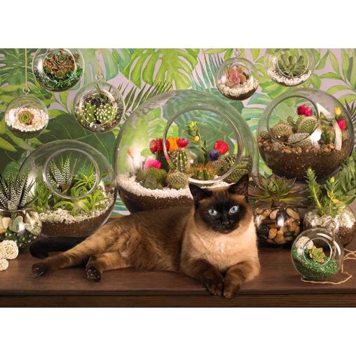 Puzzle Cobble Hill Gato y Terrario de 1000 Piezas