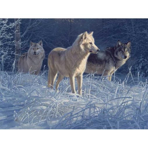 Cobble Hill Lot de loups blancs Puzzle 500 pièces