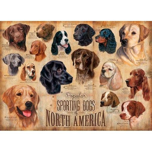 Puzzle Cobble Hill Perros de Caza de 1000 Piezas