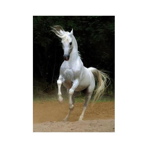 D-Toys Puzzle Cheval Blanc 1000 pièces