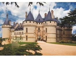 D-Toys Château de Chaumont, France Puzzle 1000 pièces