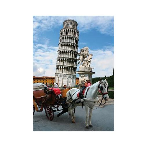 Puzzle D-Toys Italie, Tour de Pise 1000 pièces