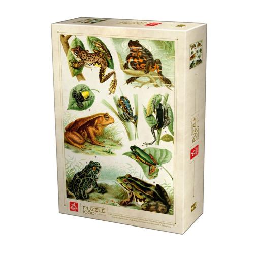 Puzzle Deico Enciclopedia de Ranas de 1000 Piezas