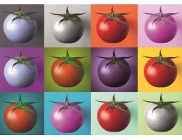 Puzzle Dino Tomates Pop Art de 1000 Piezas