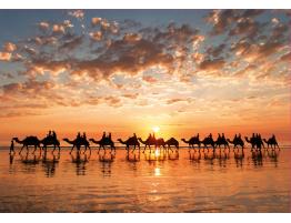 Puzzle Educa Atardecer Dorado en Cable Beach, Australia 1000 Pi