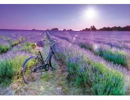 Puzzle Educa Bicicleta en Campo de Lavanda de 1000 Piezas