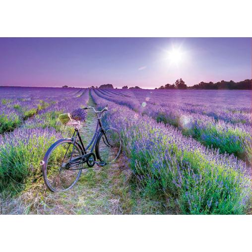 Puzzle Educa Bicicleta en Campo de Lavanda de 1000 Piezas