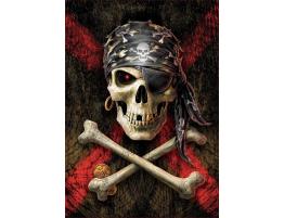 Puzzle Educa Calavera Pirata de 500 Piezas