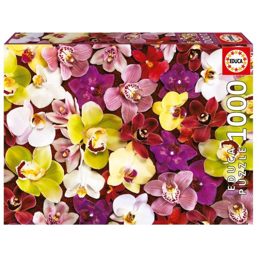 Puzzle Educa Collage de Orquídeas de 1000 Piezas