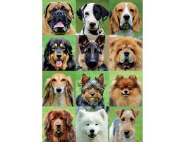 Puzzle Educa Collage de Perros de 500 Piezas