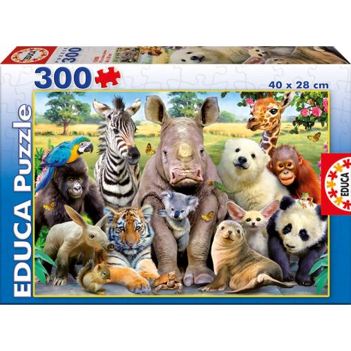 Puzzle Educa Classe Photo 300 Pièces