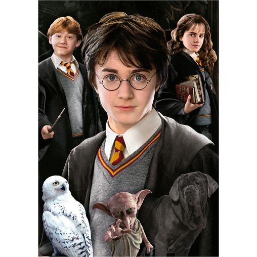 Puzzle Educa Harry Potter (Piezas Miniatura) de 1000 Piezas