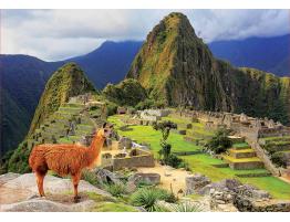 Puzzle Educa Machu Pichu, Perú  de 1000 Piezas