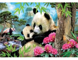 Puzzle Educa Osos Pandas de 1000 Piezas