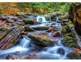 Puzzle Enjoy Arroyo del Bosque en Otoño de 1000 Pzs