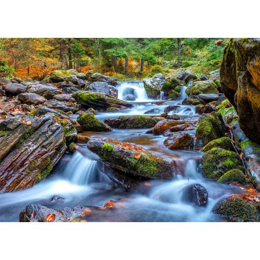 Puzzle Enjoy Arroyo del Bosque en Otoño de 1000 Pzs