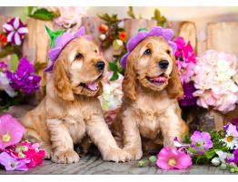 Puzzle Enjoy Cachorros Spaniel con Sombreros Floridos de 1000 P