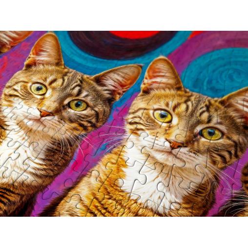 Puzzle Enjoy Cinco Gatos de 1000 Piezas