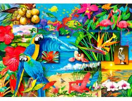 Puzzle Enjoy Tesoros Tropicales de 1000 Piezas