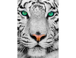 Puzzle Enjoy Tigre Blanco Siberiano de 1000 Piezas