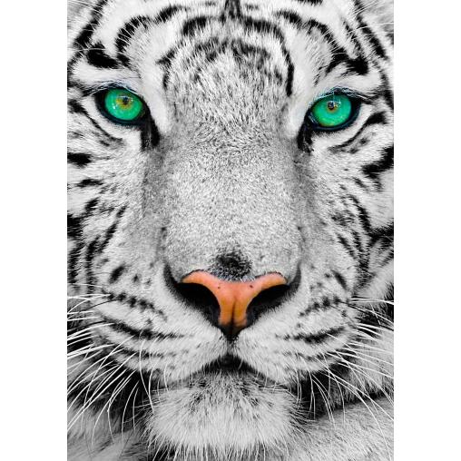 Puzzle Enjoy Tigre Blanco Siberiano de 1000 Piezas