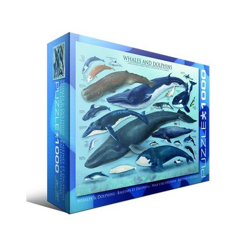 Puzzle Eurographics Ballenas y Delfines de 1000 Piezas