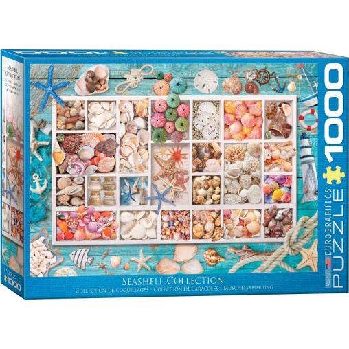 Puzzle Eurographics Colección de Conchas de 1000 Piezas