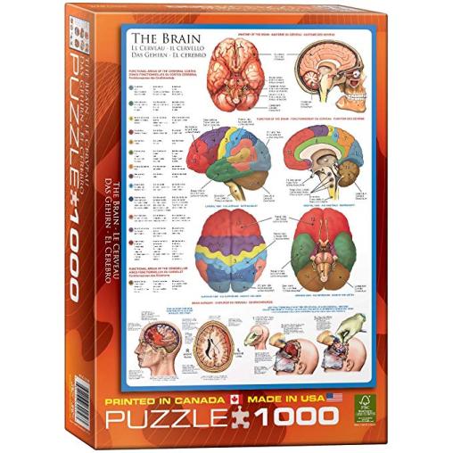 Eurographics Puzzle Le Cerveau 1000 Pièces