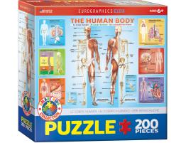 Puzzle Eurographics El Cuerpo Humano de 200 Piezas