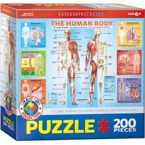 Puzzle Eurographics El Cuerpo Humano de 200 Piezas