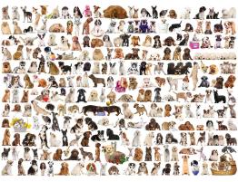 Puzzle Eurographics El Mundo de los Perros de 1000 Piezas