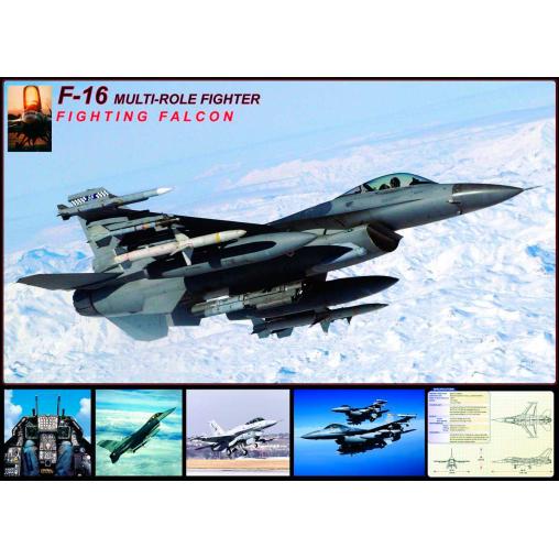 Puzzle Eurographics Falcon F-16 de 1000 Piezas