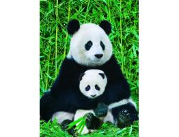 Puzzle Eurographics Familia de Osos Panda de 1000 Piezas