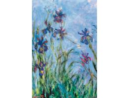 Puzzle Eurographics Flores de Iris de 1000 Piez