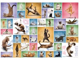 Puzzle Eurographics Gatos de Yoga de 1000 Piezas