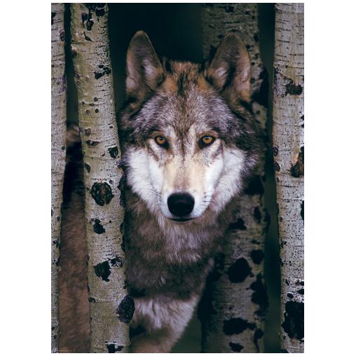 Puzzle Eurographics Lobo Gris de 1000 Piezas