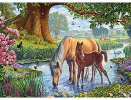 Puzzle Eurographics Los Ponis Fell de 1000 Piezas