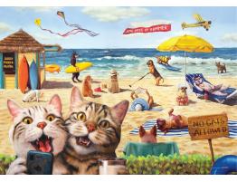 Puzzle Eurographics No se Perminten Gatos XXL 500 Piezas