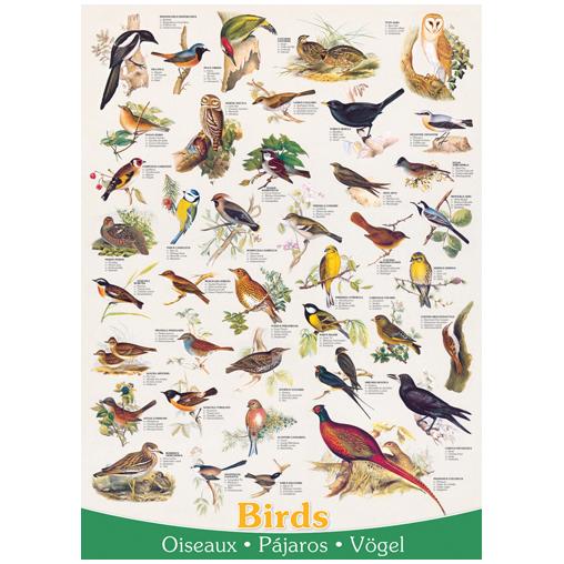 Eurographics Oiseaux Puzzle 1000 pièces