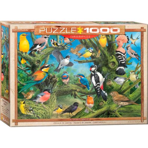 Puzzle Eurographics Pájaros de Jardín de 1000 Piezas