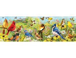 Puzzle Eurographics Panorama Pájaros de Jardín de 1000 Piezas