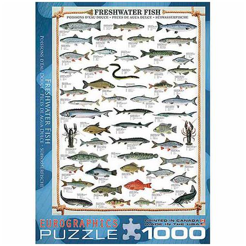 Puzzle Eurographics Peces de Agua Dulce de 1000 Piezas