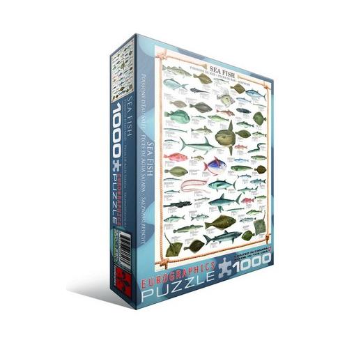 Puzzle Eurographics Peces de Agua Salada de 1000 Piezas