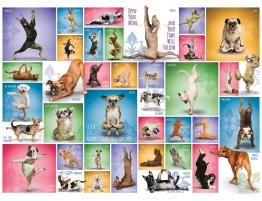 Puzzle Eurographics Perros de Yoga de 1000 Piezas