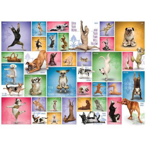 Puzzle Eurographics Perros de Yoga de 1000 Piezas