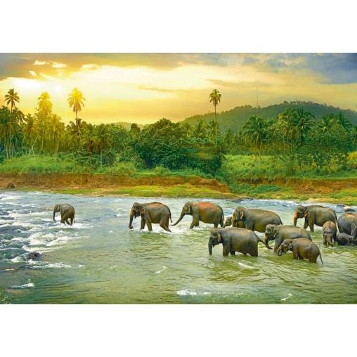 Puzzle Eurographics Selva Tropical de 1000 Piezas