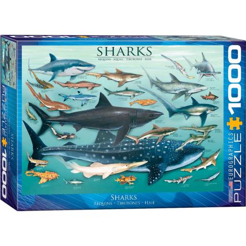 Puzzle Eurographics Tiburones de 1000 Piezas