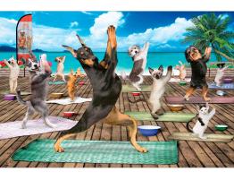 Puzzle Eurographics Yoga con Perros y Gatos XXL de 500 Piezas