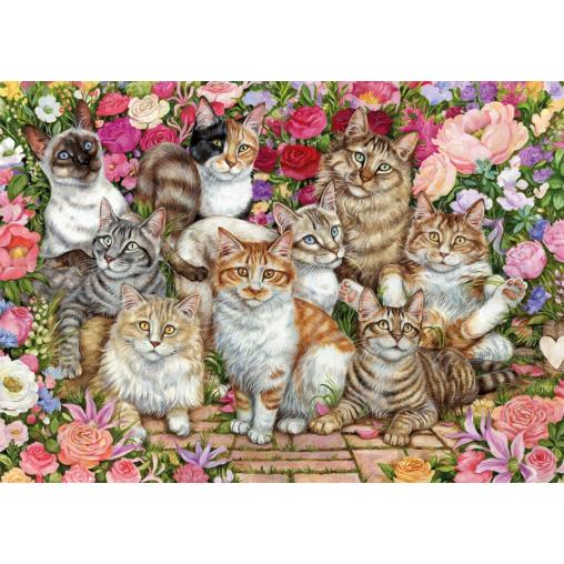 Puzzle Falcon Gatos en las Flores de 1000 Piezas