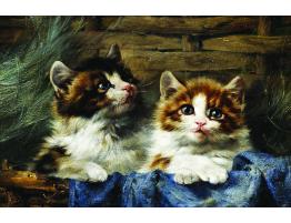 Puzzle Or Couple de Chatons 500 Pièces